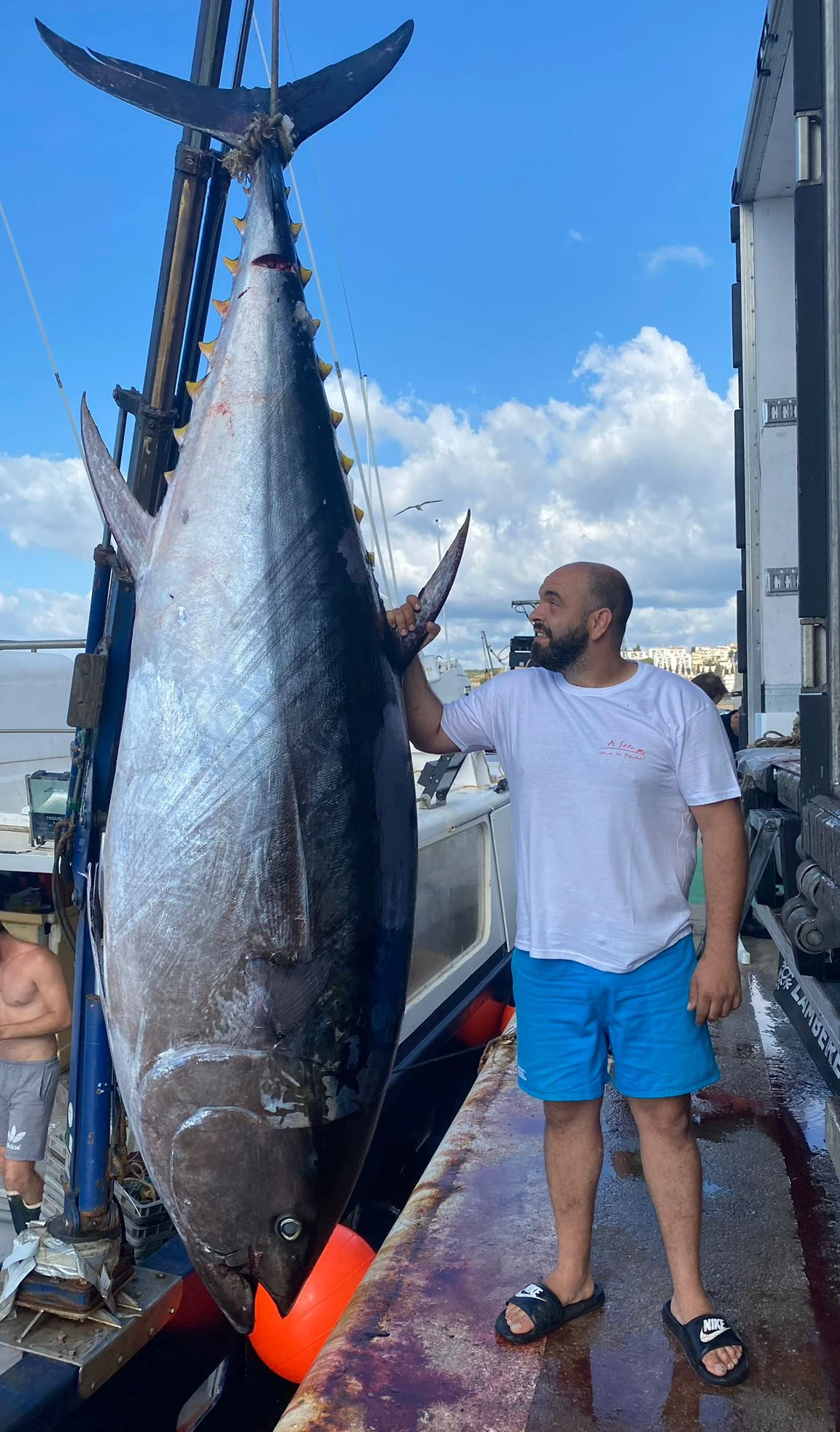 Poisson du jour